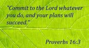 proverbs